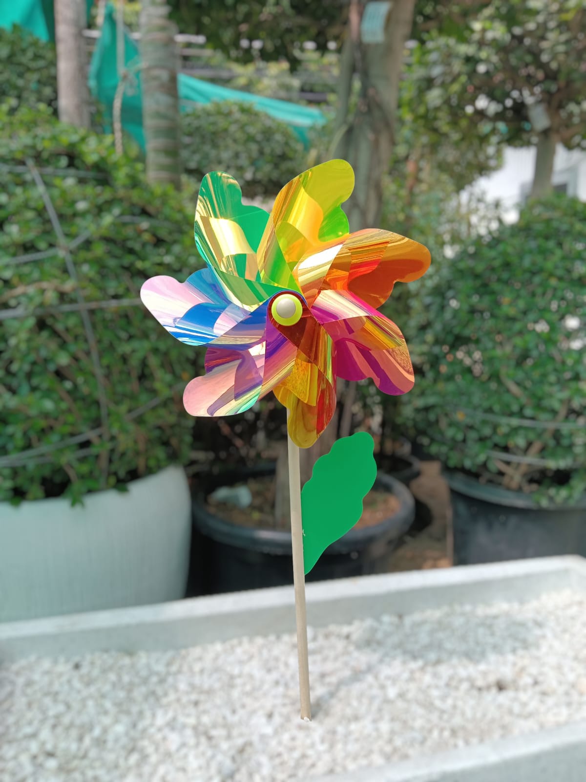 Multicolor Flower Garden Windmill - Set of 4 - Back Garden Nursery