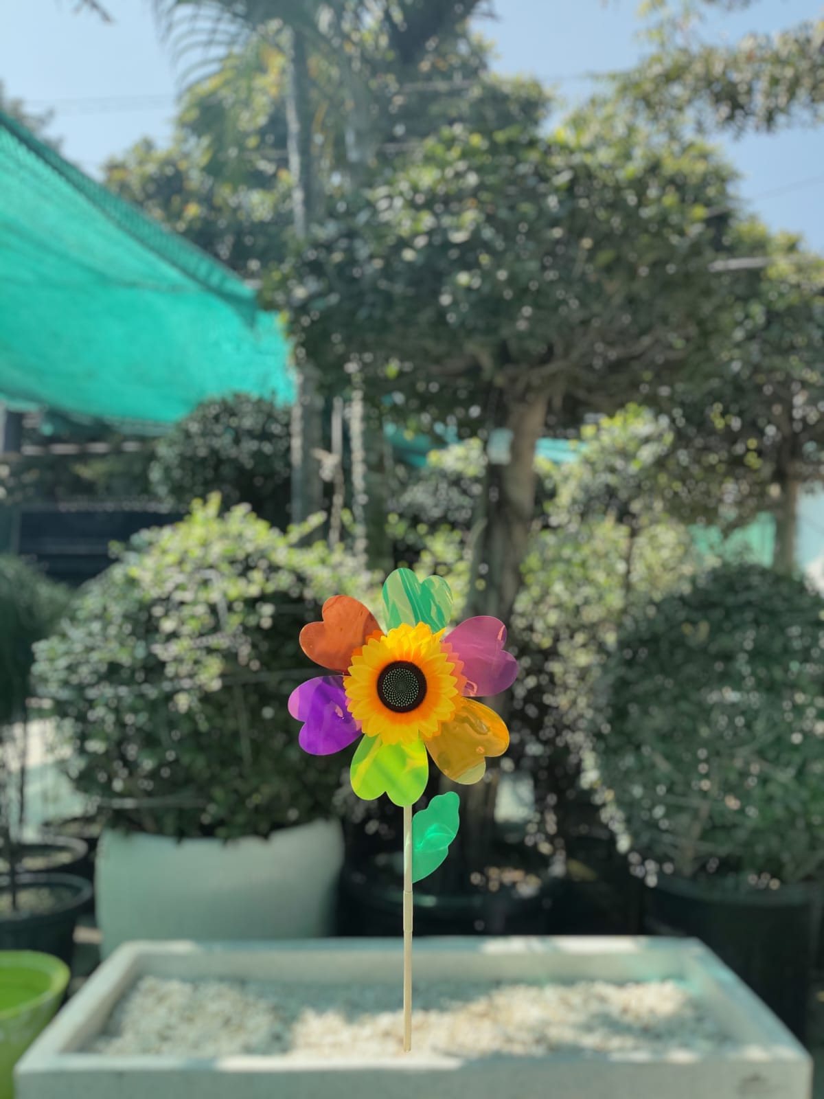 Multicolor Heart Petal Flower Garden Windmill - Set of 4 - Back Garden Nursery