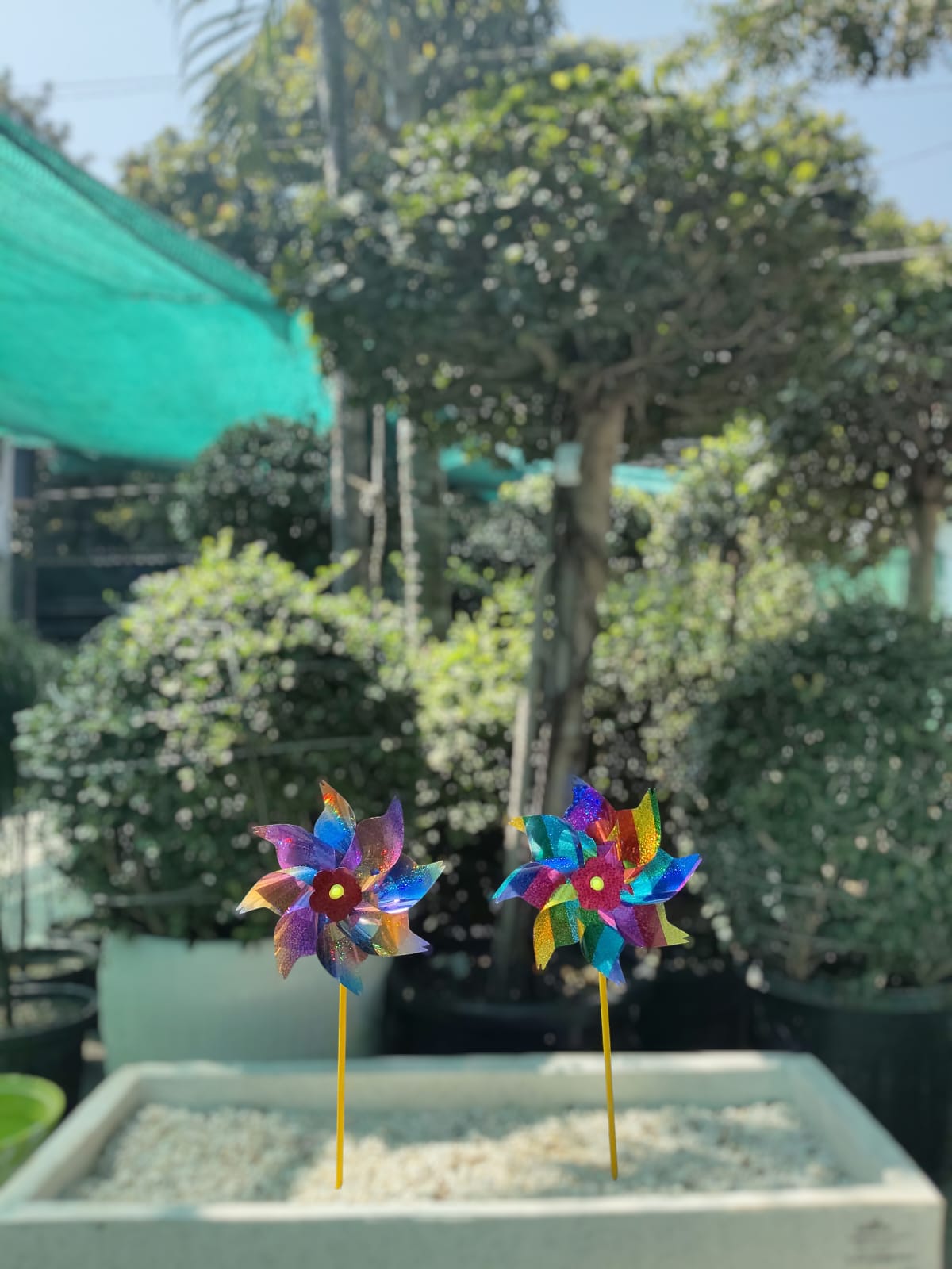 (AB) Glossy Striped Flower Windmill Wind Spinner/ Home/ Garden Windmill/ Back Garden Nursery