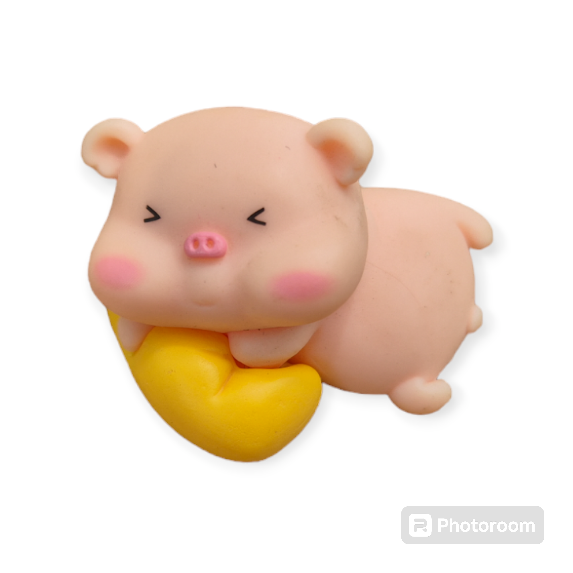 Pig C Miniature Garden - Fairy gardens, Home Décor - Back Garden Nursery