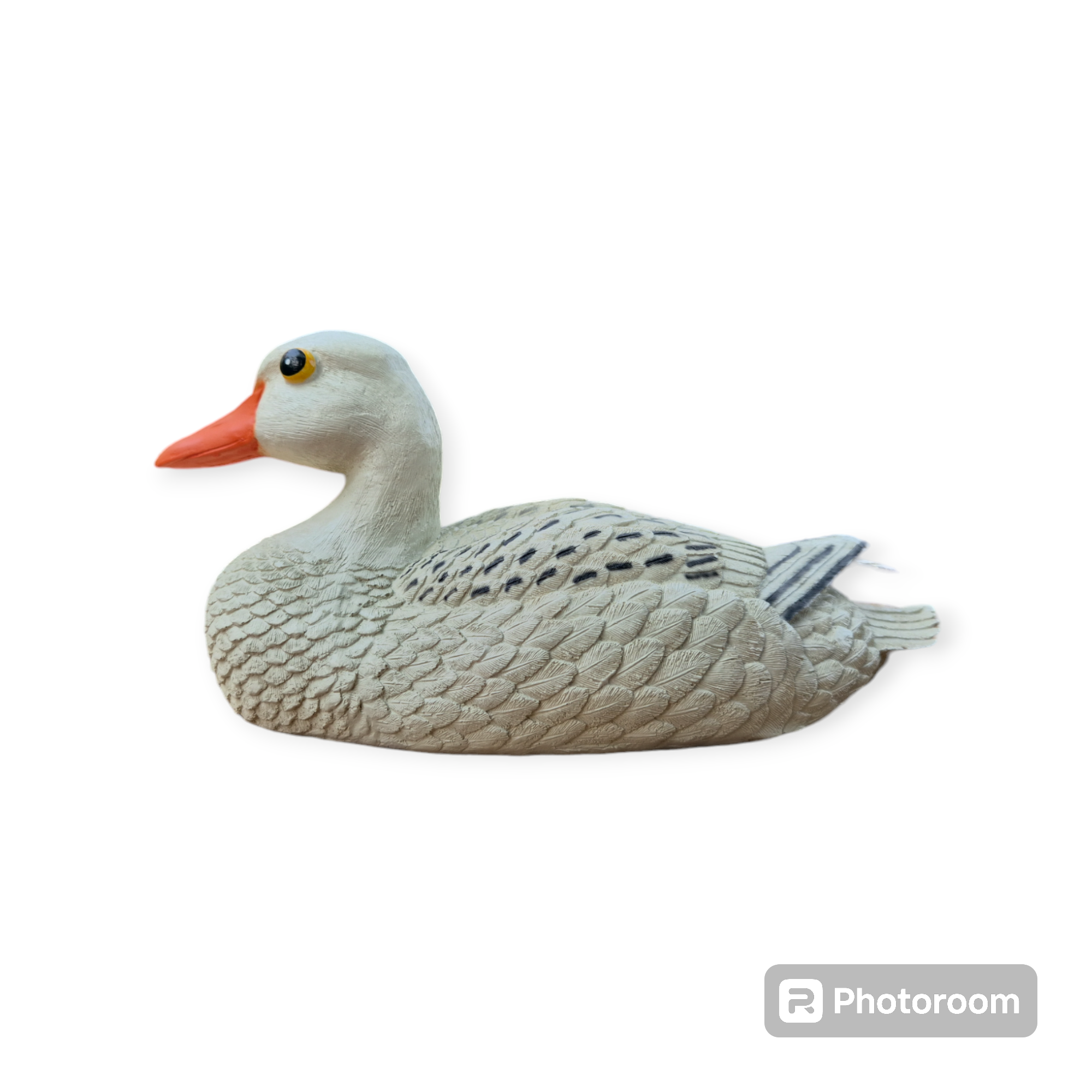 SITTING WHITE  DUCK
