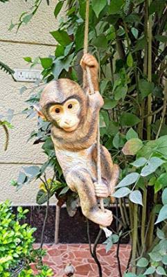Monkey Climbing Rope