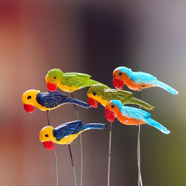 Pin Toys (Toco Toucan) Pot Decoration Accessories set of 6 - Back Garden Nursery