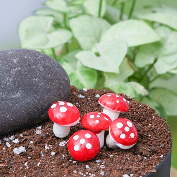 Pin Red Mushroom Miniature Garden Accessories set of 10 - Back Garden Nursery